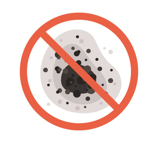Professional Mold Removal in Mechanicsburg, PA
