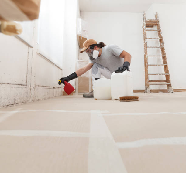Best Mold Damage Restoration  in Mechanicsburg, PA